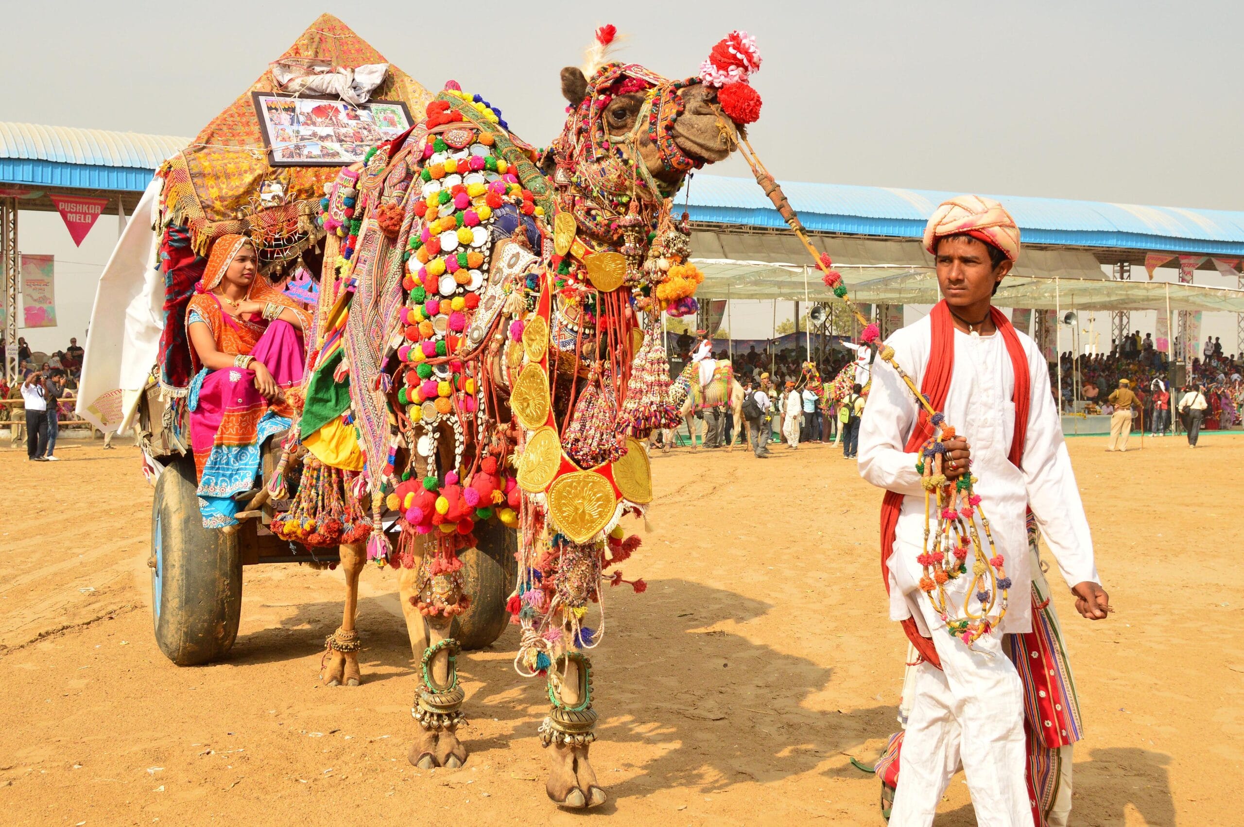 Vast white salt flats of Great Rann of Kutch stretching to horizon during dry season"