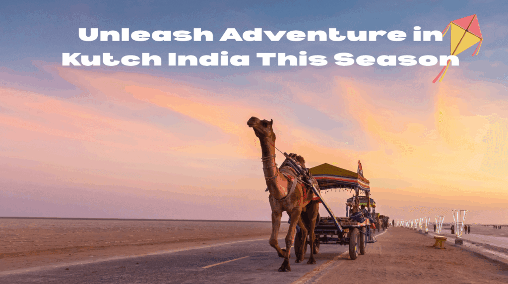 Unleash Adventure in Kutch India This Season